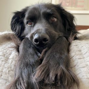 Meet your Posher, Addie